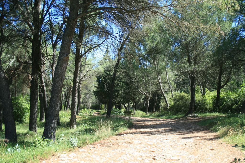 Chambres D'Hotes Le Puid De Gauthier Saturargues Exterior foto